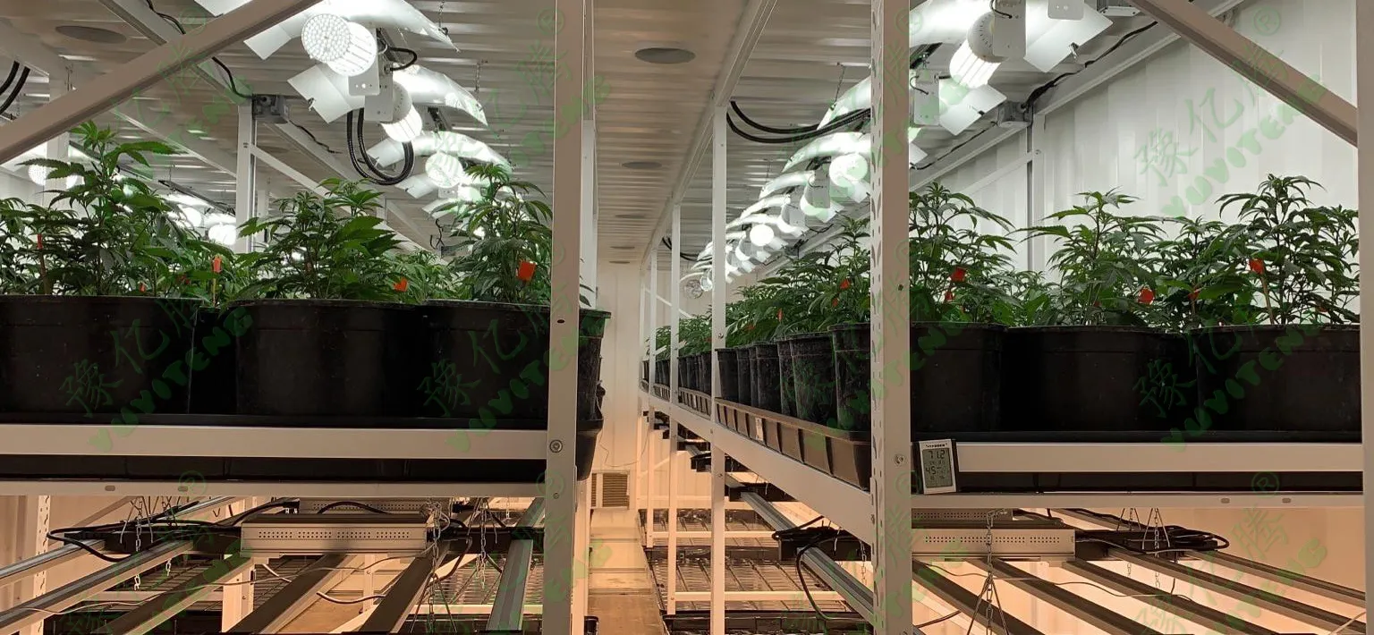 vertical grow racks