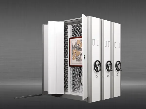 What are the intelligent compact shelving control systems?
