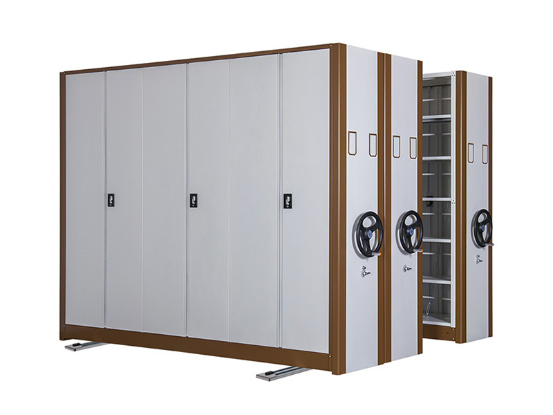 Mobile healthcare shelving